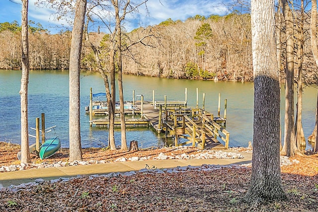 dock area featuring a water view