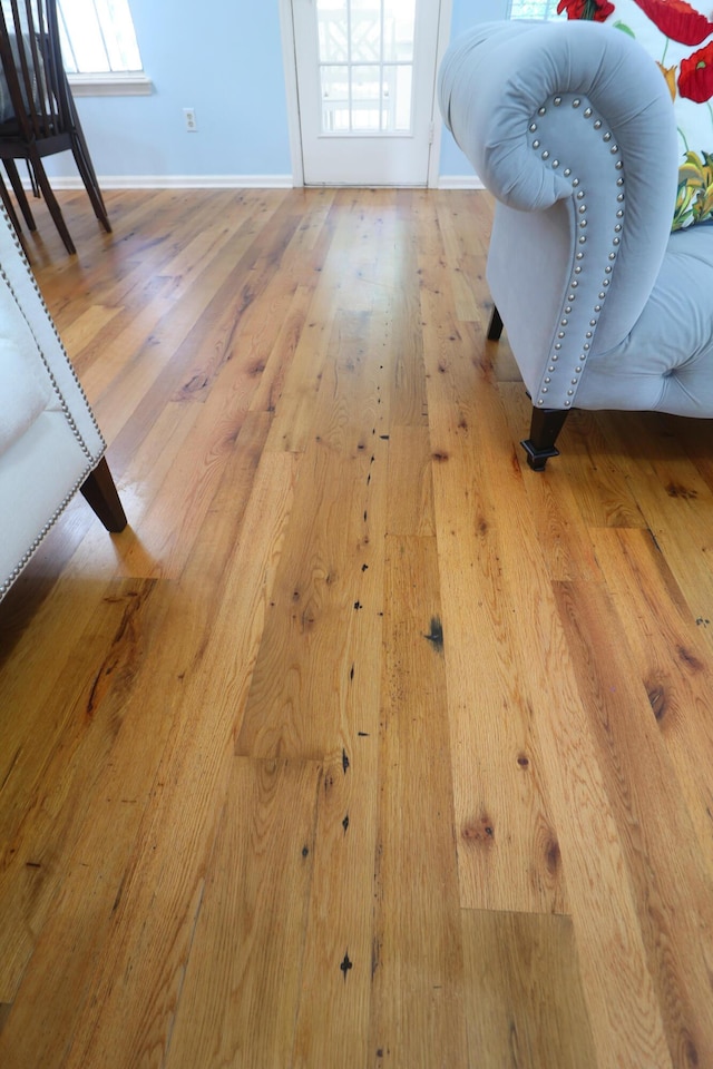 1394 Center Lake Dr, Mount Pleasant, SC 29464 - detailed view of baseboards and wood finished floors