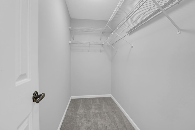 1394 Center Lake Dr, Mount Pleasant, SC 29464 - spacious closet featuring carpet flooring