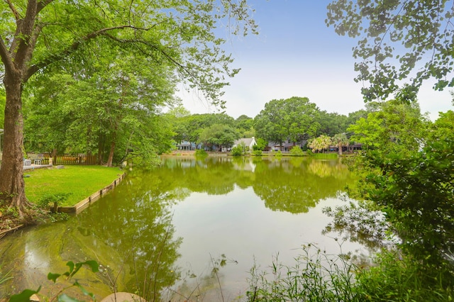 1394 Center Lake Dr, Mount Pleasant, SC 29464 - water view