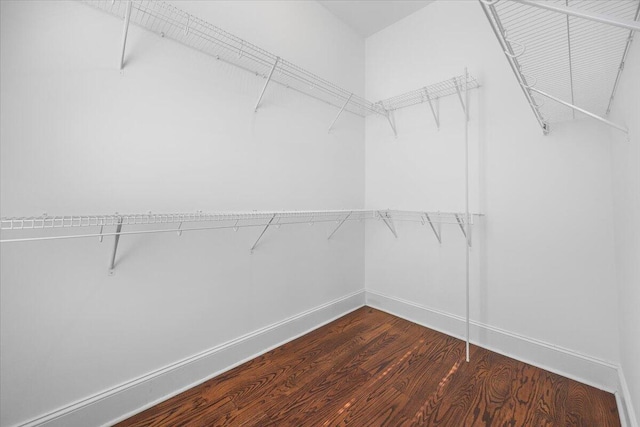 spacious closet featuring wood finished floors