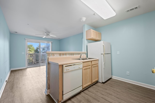 kitchen featuring light brown cabinetry, sink, light hardwood / wood-style floors, white appliances, and ceiling fan