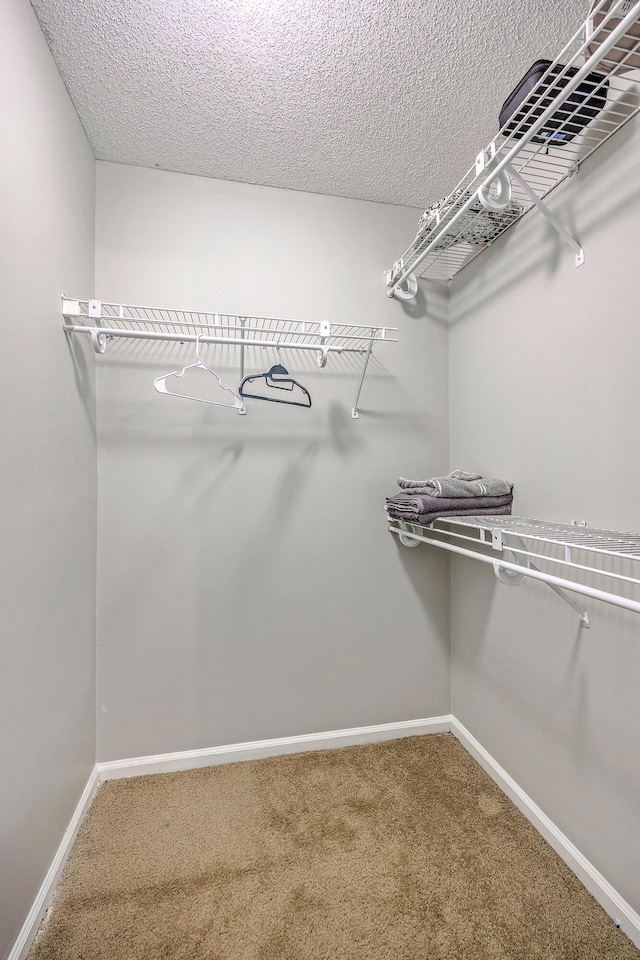188 Midland Pkwy Unit 516, Summerville, SC 29485 - spacious closet with carpet flooring