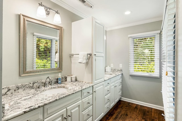 bathroom featuring ornamental molding, vanity, wood finished floors, and plenty of natural light