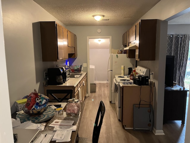 kitchen featuring electric stove, sink, dark brown cabinets, light hardwood / wood-style floors, and a textured ceiling