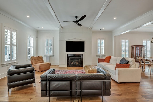 living area featuring wood finished floors, crown molding, a ceiling fan, and a healthy amount of sunlight