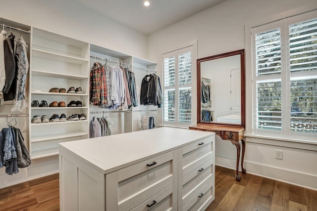 spacious closet featuring dark wood-type flooring