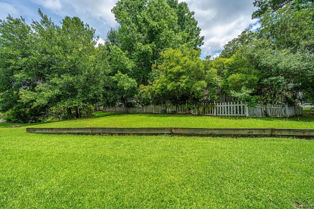 1409 Bloomingdale Ln, Mount Pleasant, SC 29466 - view of yard