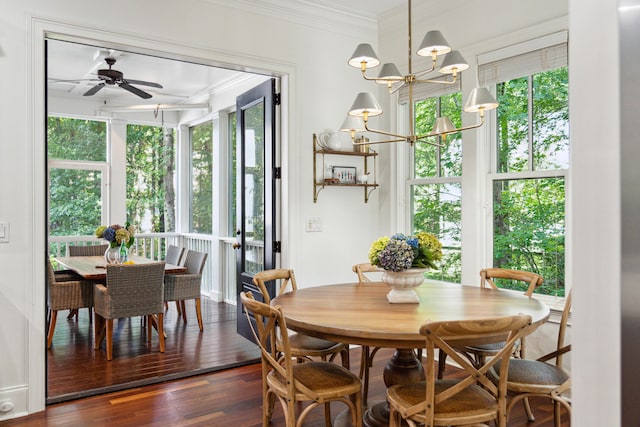 dining room featuring crown molding, ceiling fan with notable chandelier, a wealth of natural light, and dark hardwood / wood-style flooring