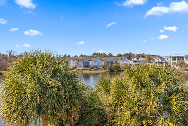 water view with a residential view