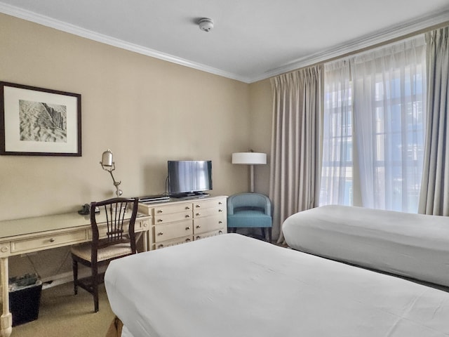 bedroom with crown molding