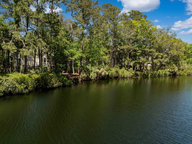 2932 Old Drake Dr, Seabrook Island, SC 29455 - view of water feature