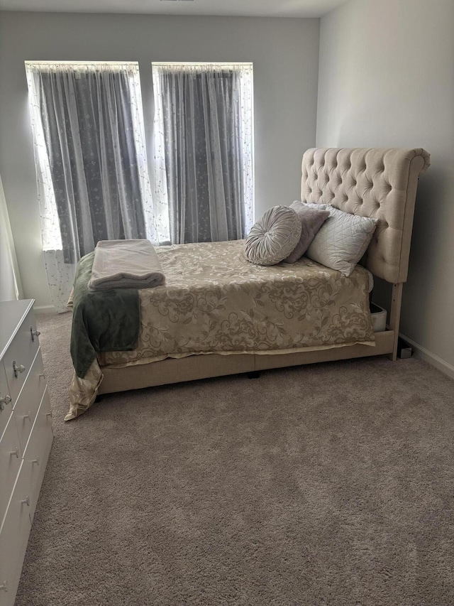 carpeted bedroom with multiple windows