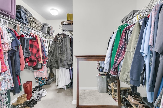 spacious closet featuring carpet flooring