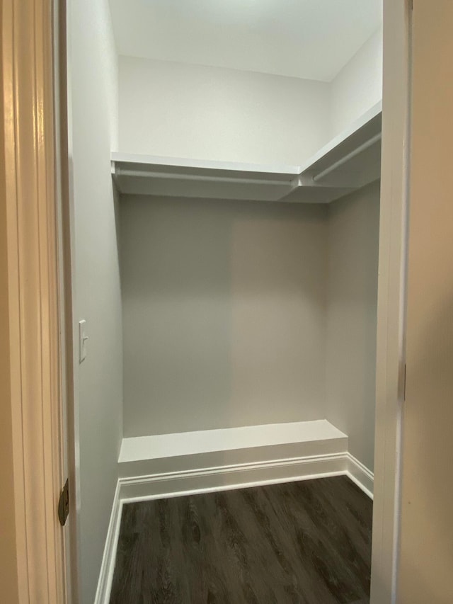 spacious closet featuring dark hardwood / wood-style floors