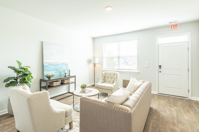 living room with wood-type flooring