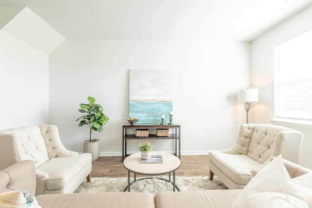 living room featuring vaulted ceiling and hardwood / wood-style flooring