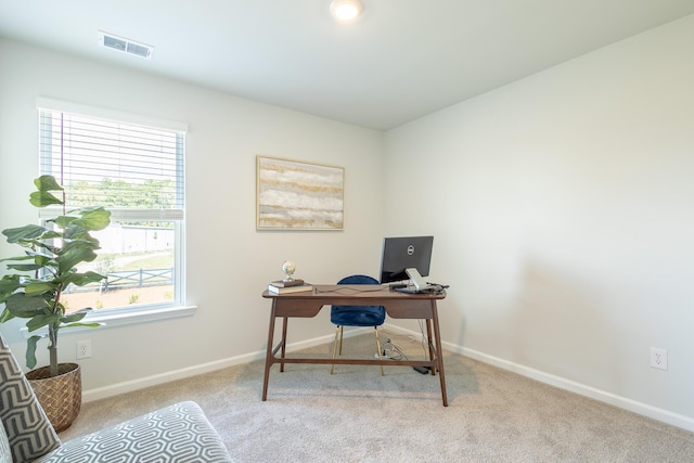 office featuring light carpet