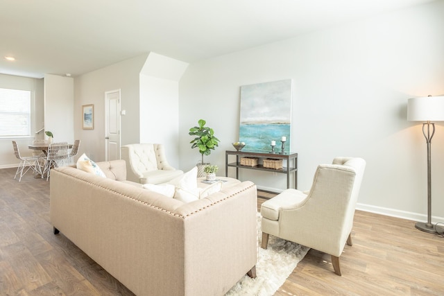 living room featuring hardwood / wood-style flooring