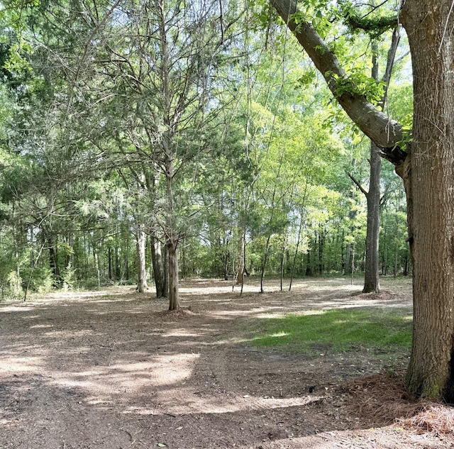 view of yard featuring a forest view