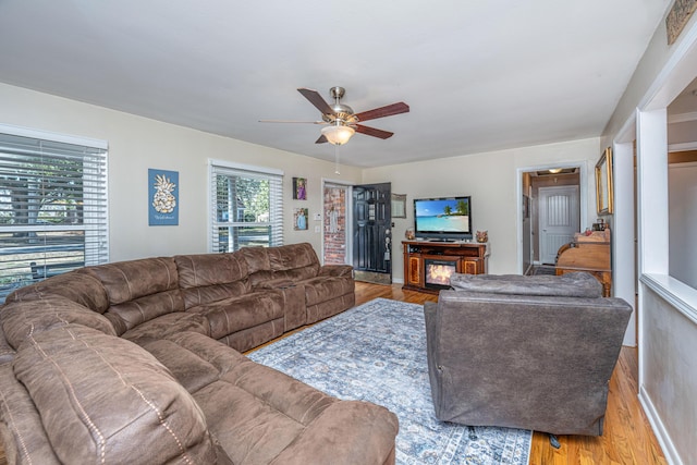 living room featuring wood-type flooring and ceiling fan