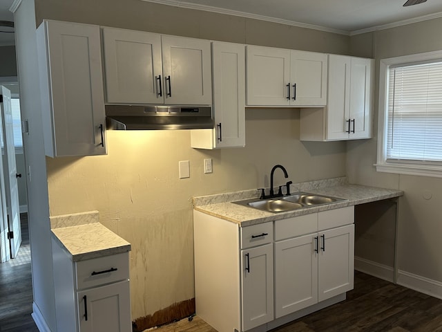 1516 N Avalon Cir, Charleston, SC 29407 - kitchen featuring under cabinet range hood, a sink, dark wood-style floors, baseboards, and white cabinets