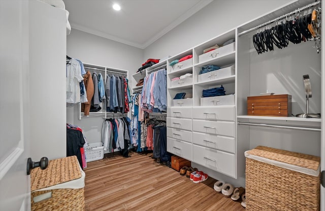 walk in closet with light wood-type flooring