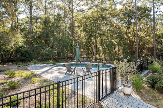 view of pool with a patio area