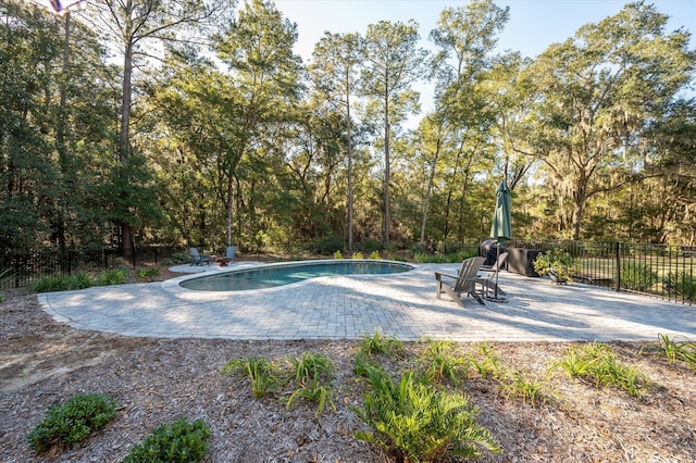 view of swimming pool with a patio area