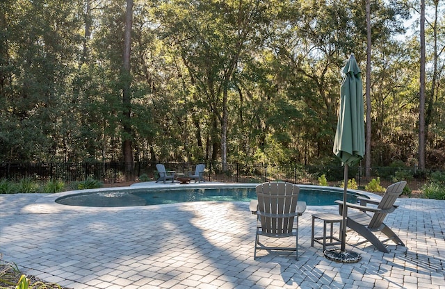 view of swimming pool featuring a patio area