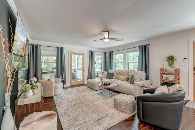 living room with plenty of natural light, a ceiling fan, dark wood-type flooring, and ornamental molding