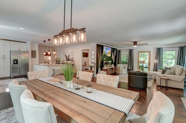 dining area with wood finished floors and ceiling fan