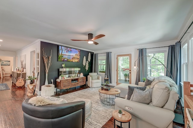 living room featuring wood finished floors, ceiling fan, and ornamental molding