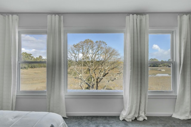 carpeted bedroom with multiple windows