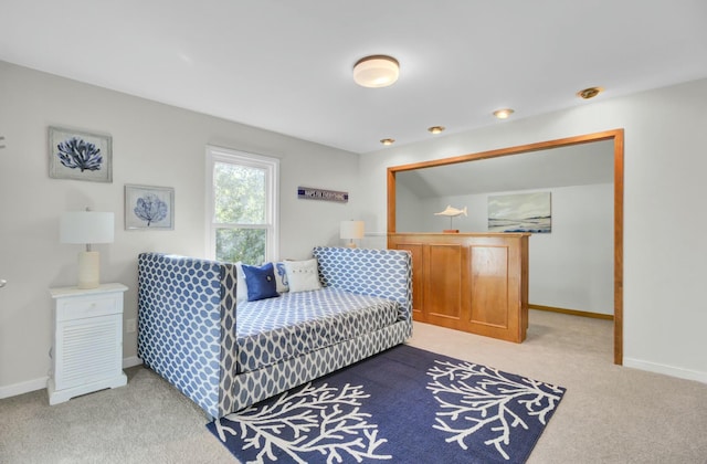 bedroom with carpet flooring