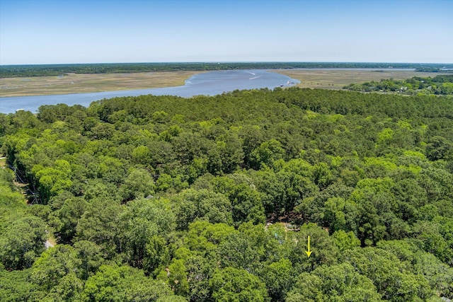 2649 Starfish Dr, Johns Island, SC 29455 - aerial view of a forest