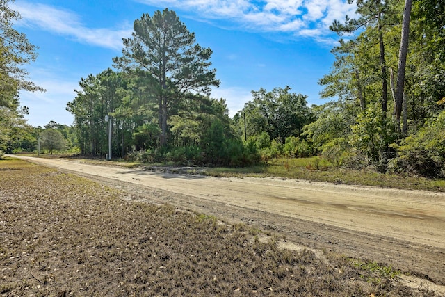 Listing photo 3 for 0 New Bridge Rd, Nichols SC 29581