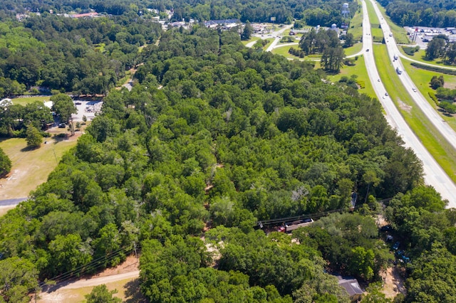 0 Foster Ln, Walterboro, SC 29488