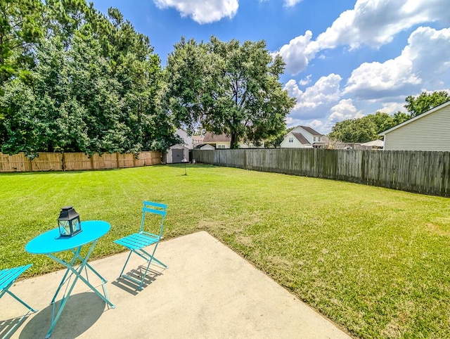 1350 Pinyon Pine Dr, Ladson, SC 29456 - fenced backyard featuring a patio and a storage shed