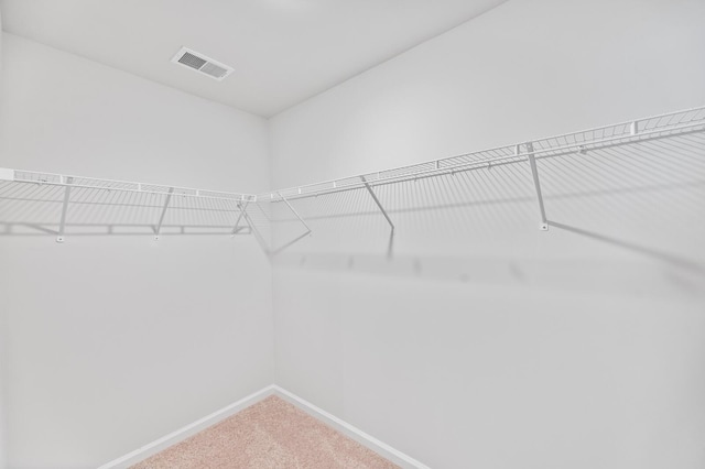 491 Cedarview Rd, Summerville, SC 29486 - spacious closet with carpet floors