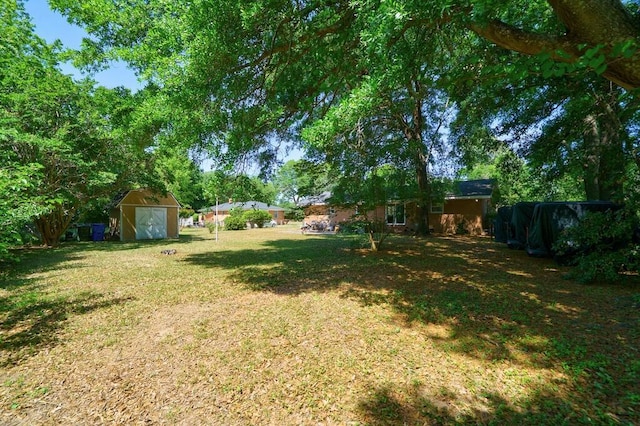 view of yard featuring a storage unit and an outdoor structure