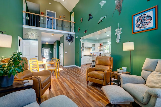 212 Chester Ln, Cottageville, SC 29435 - living room with light wood-style flooring, plenty of natural light, high vaulted ceiling, and baseboards