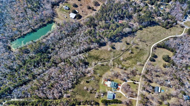 212 Chester Ln, Cottageville, SC 29435 - drone / aerial view