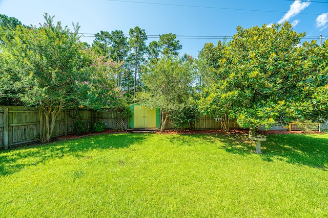 view of yard with a storage unit