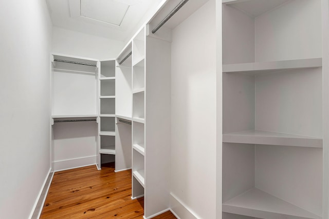 walk in closet with wood finished floors