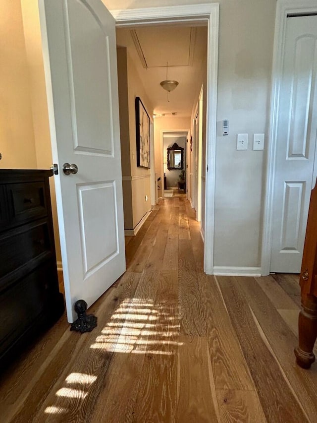 corridor with wood-type flooring