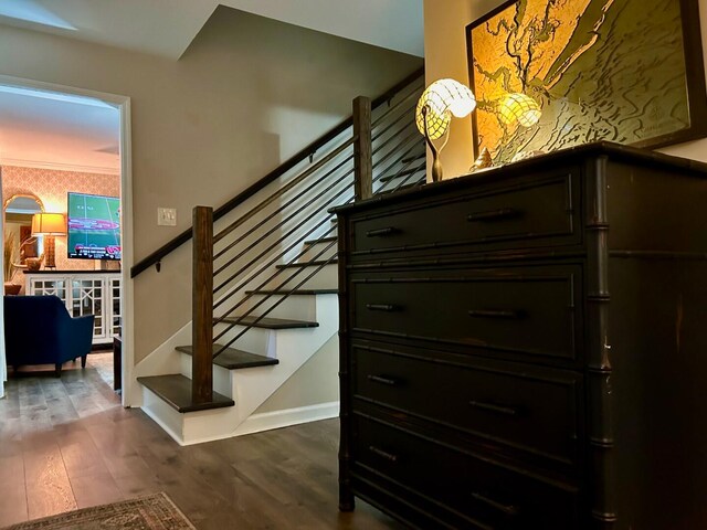 stairway with hardwood / wood-style floors