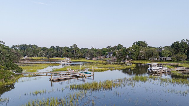 view of dock with a water view