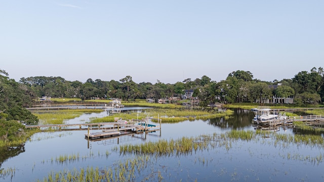 water view featuring a floating dock