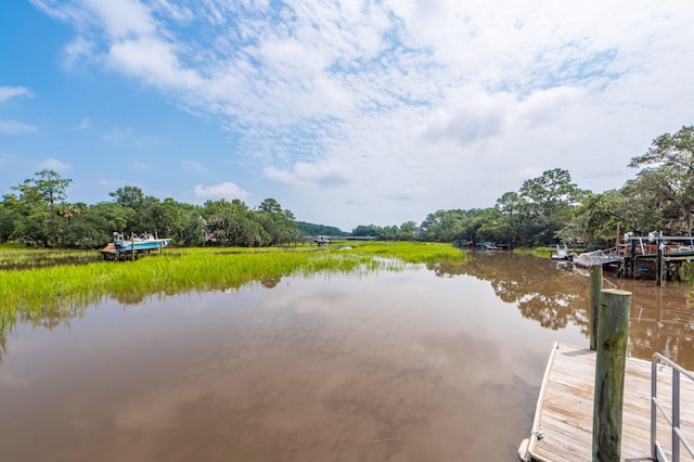 water view featuring a boat dock